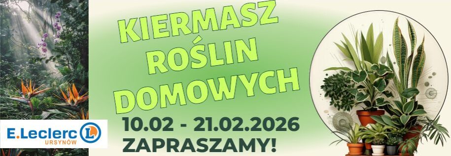 Kiermasz roślin domowych